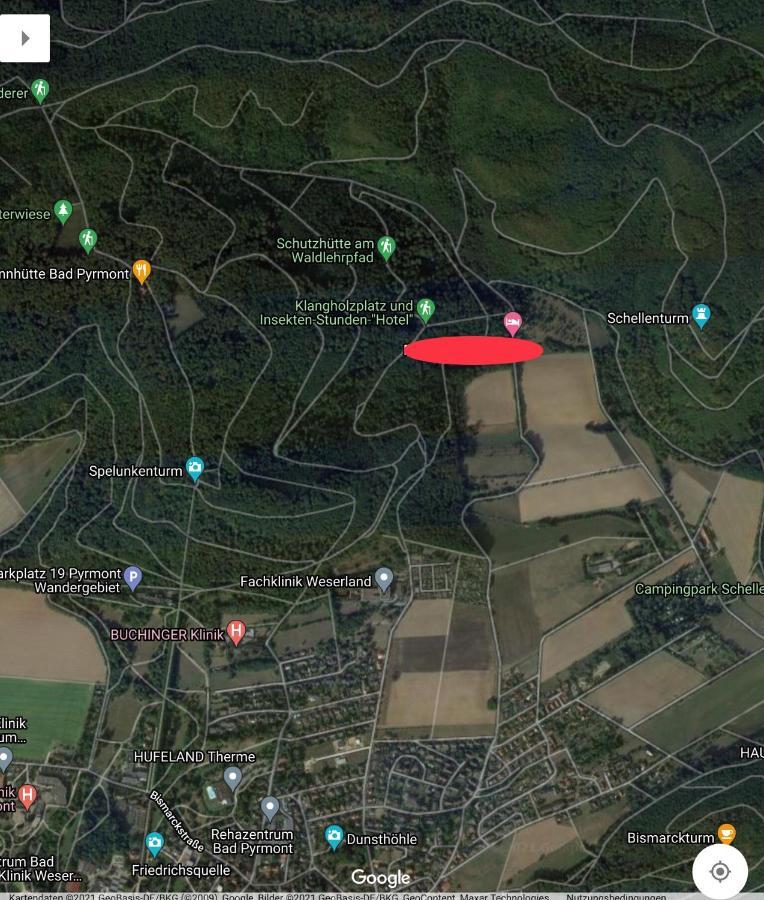 Ferien Langer Grund mitten im Wald Bad Pyrmont Exterior foto