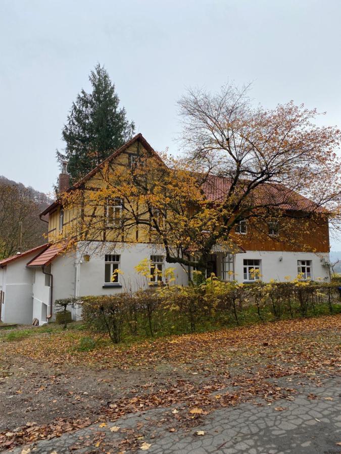 Ferien Langer Grund mitten im Wald Bad Pyrmont Exterior foto